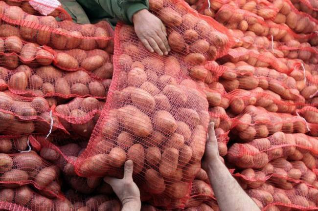 ΚΚΕ: Το κίνημα της πατάτας θα ξεφουσκώσει