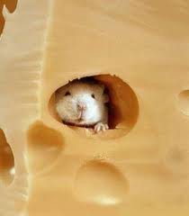 BBC: Μπορεί το τυρί να προκαλέσει εφιάλτες;