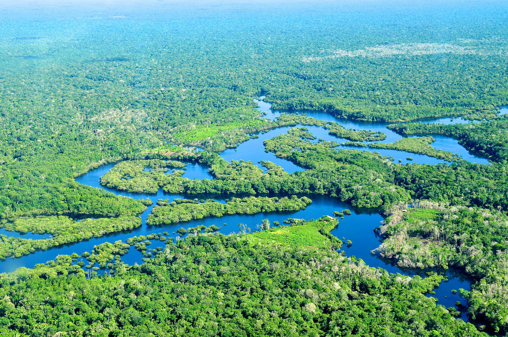 Ογκώδης δικτυακή εκστρατεία για τη σωτηρία του Αμαζονίου