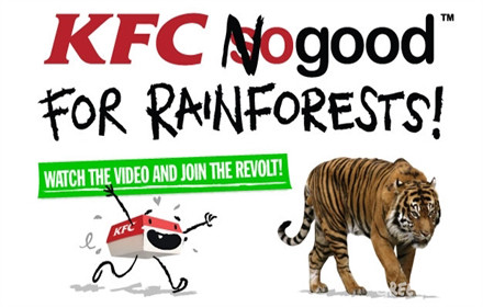 Η «μυστική συνταγή» της KFC: καταστροφή των τροπικών δασών