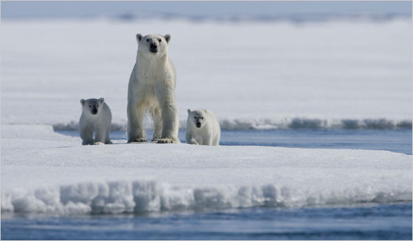 Αρκτική: Ανησυχία για το περιβάλλον και μάχη για τις πλουτοπαραγωγικές πηγές