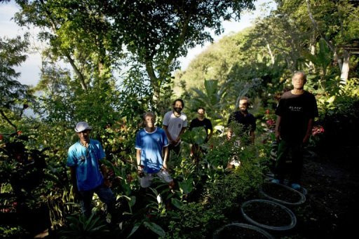 Βραζιλιάνοι εθελοντές μετέτρεψαν χωματερή σε πράσινη όαση