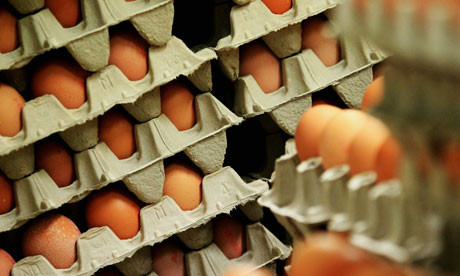 Αβγά με διοξίνη εντοπίστηκαν στη Γερμανία