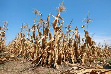 Αντιμέτωπος με νέα επισιτιστική κρίση ο πλανήτης λόγω ξηρασίας στις ΗΠΑ