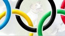Πέντε τρελά σπορ που θα μπορούσαν να γίνουν…. ολυμπιακά αθλήματα