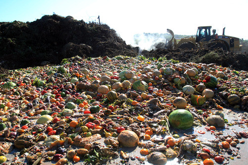 Στα σκουπίδια καταλήγει το 50% των τροφίμων παγκοσμίως