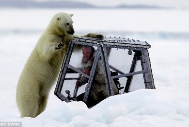 Αντιμέτωπος με πρόστιμο για παρενόχληση πολικής αρκούδας παραγωγός του BBC