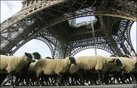 Προβατάκια θα κουρεύουν… το γκαζόν στο Παρίσι