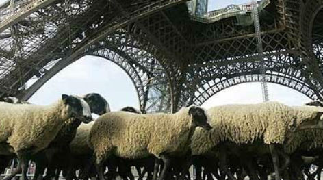Τέσσερα προβατάκια «επιστρατεύτηκαν» σε κήπους του Παρισιού