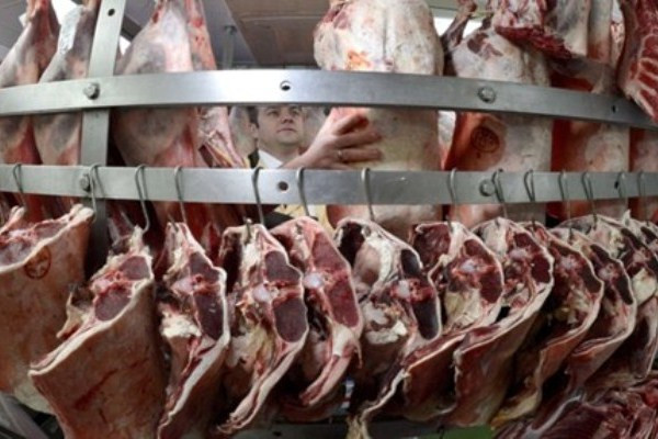 Σε δύο χρόνια έφτασαν στην Ελλάδα 111 τόνοι αλογίσιου κρέατος