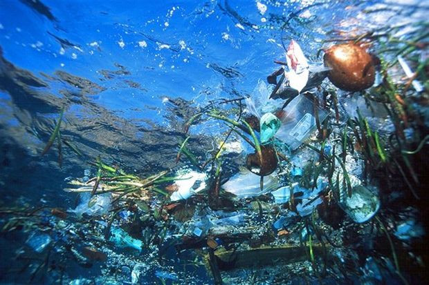 Το πλαστικό «πρωταθλητής» των σκουπιδιών στις θάλασσες