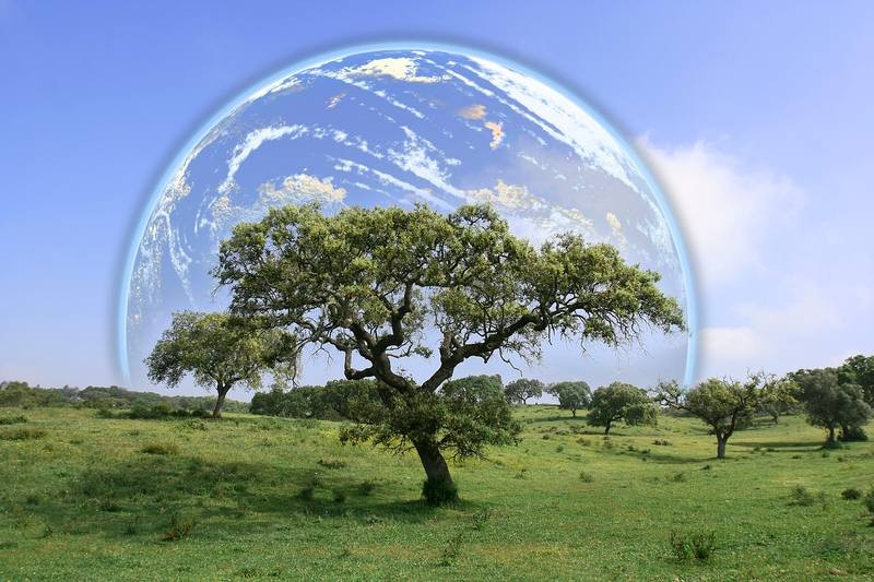 «Πράσινες» δράσεις για την Παγκόσμια Ημέρα Περιβάλλοντος
