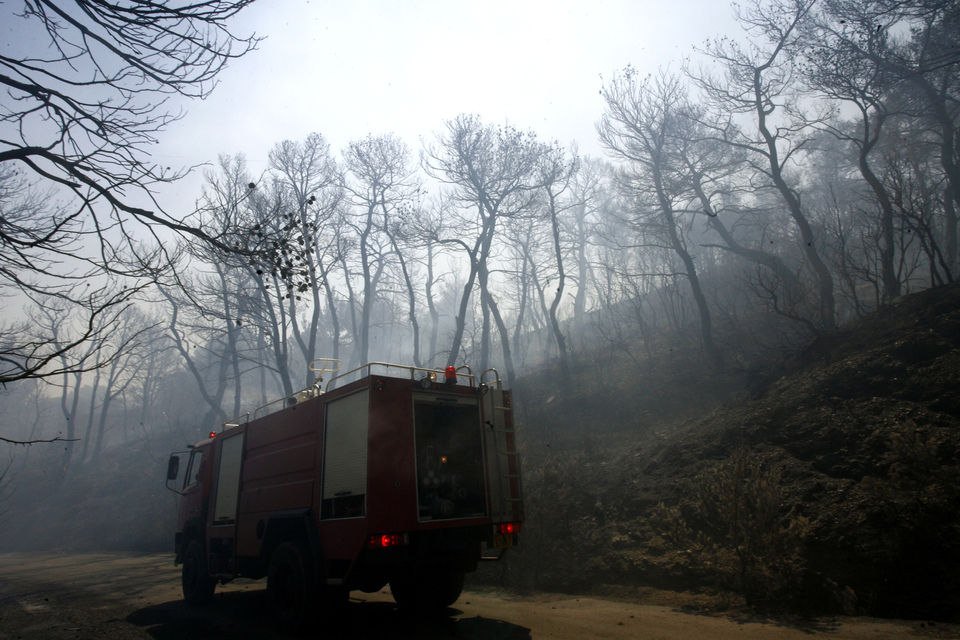 Δόκιμοι πυροσβέστες κατά εποχικών