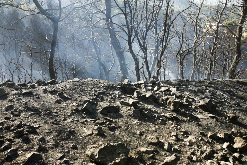 Στάχτη 700 στρέμματα από την πυρκαγιά στο Άργος