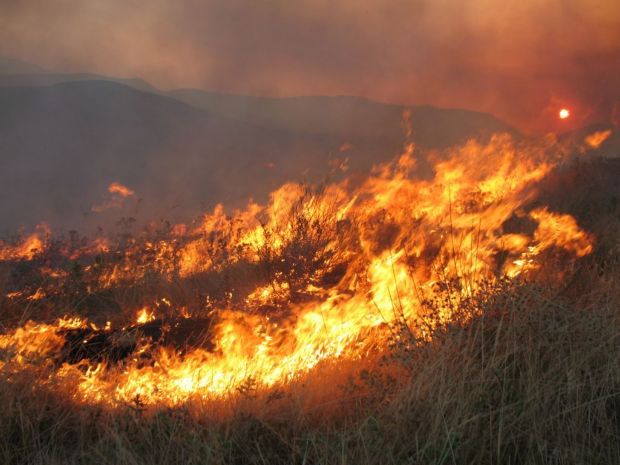 Ανεξέλεγκτη η φωτιά στην Κλινδιά Ηλείας