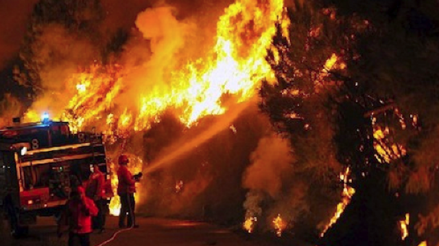 Θάσος: Πάνω από 5.000 στρέμματα έχει κάψει η φωτιά