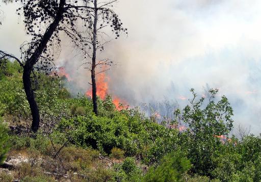 Σύλληψη 41χρονου για την πυρκαγιά στη Χίο