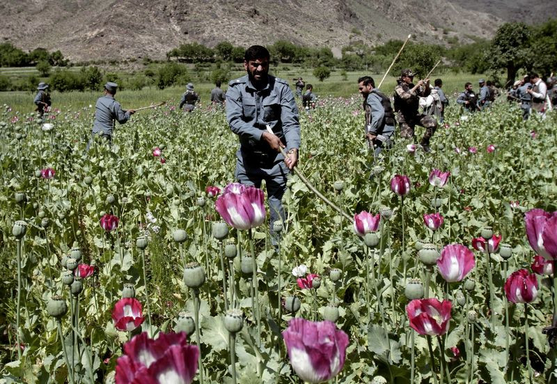 Το Αφγανιστάν παγκόσμιος ντίλερ ναρκωτικών