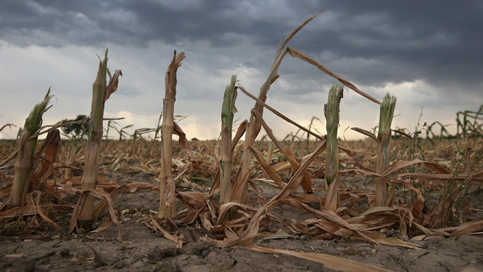 Βιοκαύσιμα: H περιβαλλοντική καταστροφή και η αγορά τροφίμων