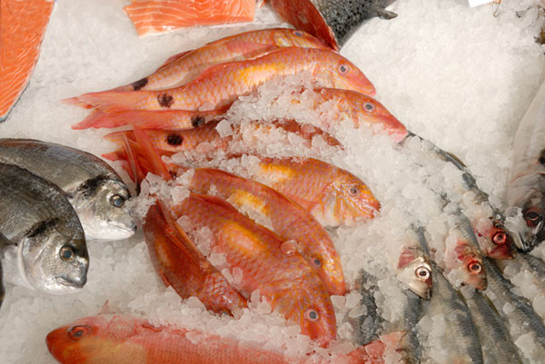 Απαγορεύει η Κομισιόν τις εισαγωγές ψαριών από παράνομη αλιεία