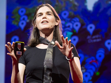 Τι μας διδάσκει η εκπαίδευση στο διαδίκτυο – Oμιλία απο το TED