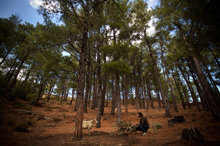 Τα βραβευμένα «The Cleaners» και «Little Land» στους Κινηματογράφους