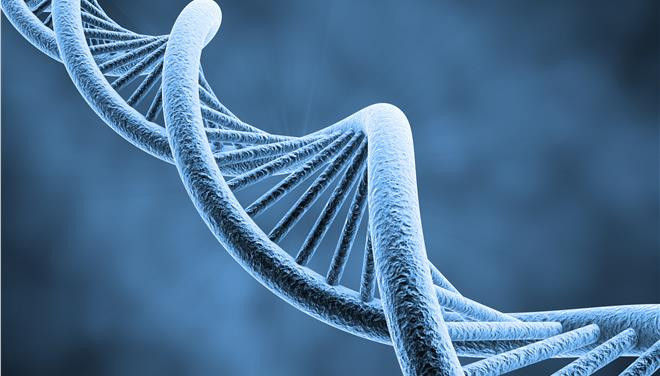 Ανακαλύφθηκε δεύτερος κώδικας DNA