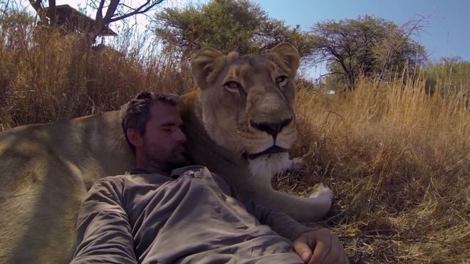 Ο άνθρωπος που αγάπησαν τα λιοντάρια (βίντεο)