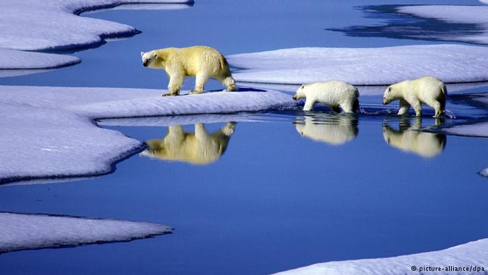 Εξορύξεις πετρελαίου στην Αρκτική: Μια ακόμη καταστροφή ξεκίνησε