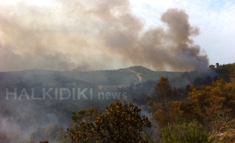 Σε εξέλιξη από το πρωί της Κυριακής η πυρκαγιά στη Χαλκιδική