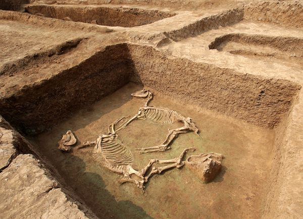 Τμήμα αρχαϊκής νεκρόπολης ανακαλύφθηκε στη Χίο