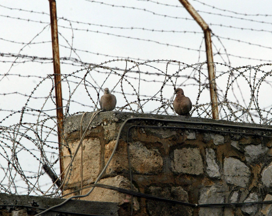 «Απάνθρωπα κολαστήρια» οι φυλακές υψίστης ασφαλείας