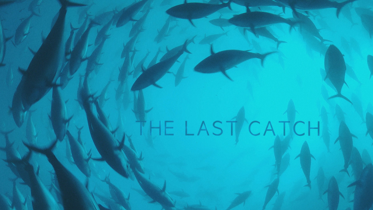 The Last Catch: Προσκλήσεις για το CineDoc στον Δαναό