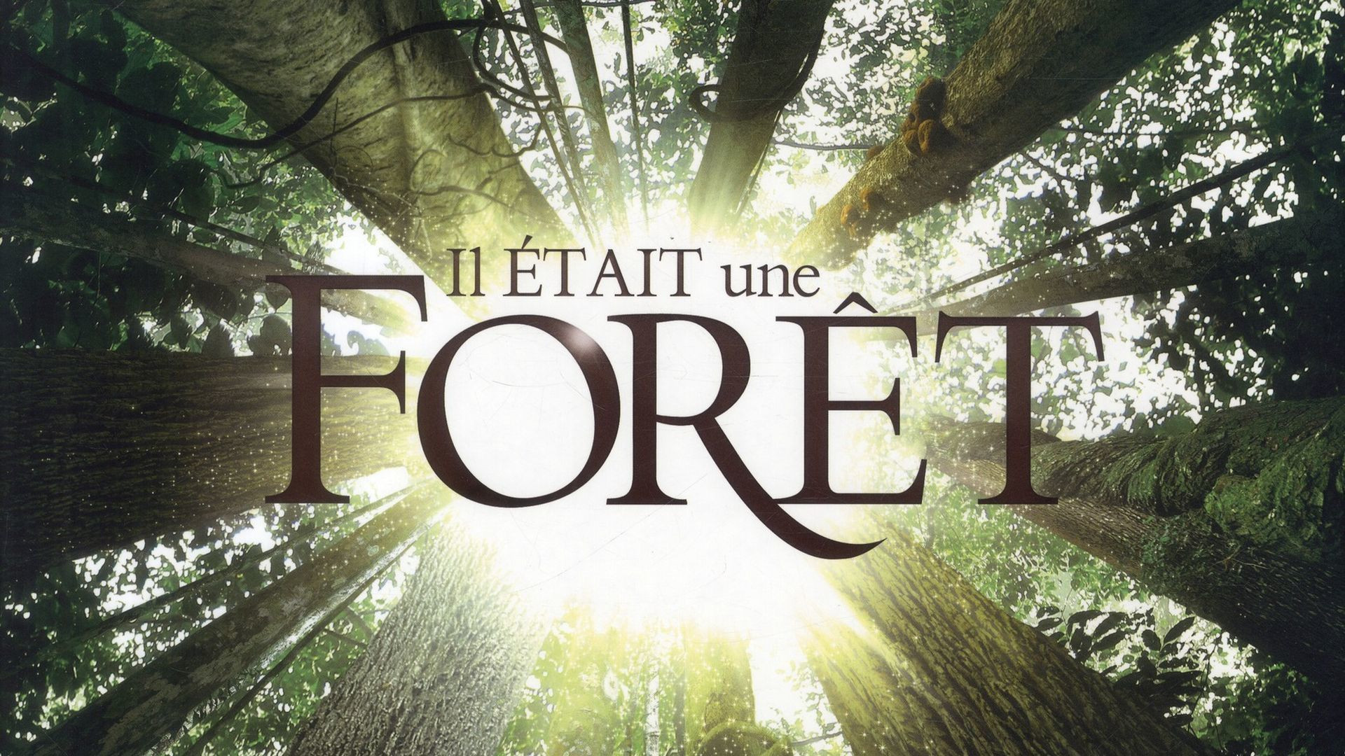 Προσκλήσεις για το «Once Upon A Forest» στο CineDoc