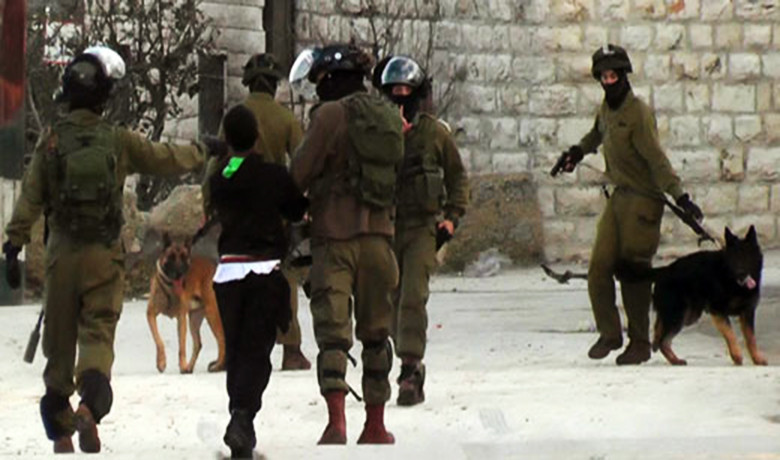 Ισραηλινοί στρατιώτες βασανίζουν με σκυλιά ένα παιδί [Βίντεο]