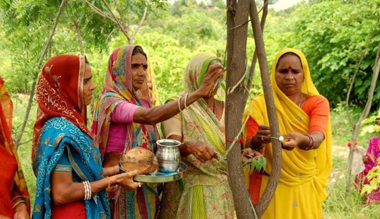 Ινδία: Φυτεύουν 111 δέντρα για κάθε κορίτσι που γεννιέται