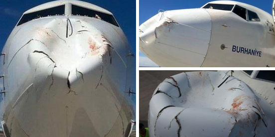 Απίστευτες φωτογραφίες: Αεροπλάνο της Turkish Airlines μετά από σύγκρουση με πουλιά!