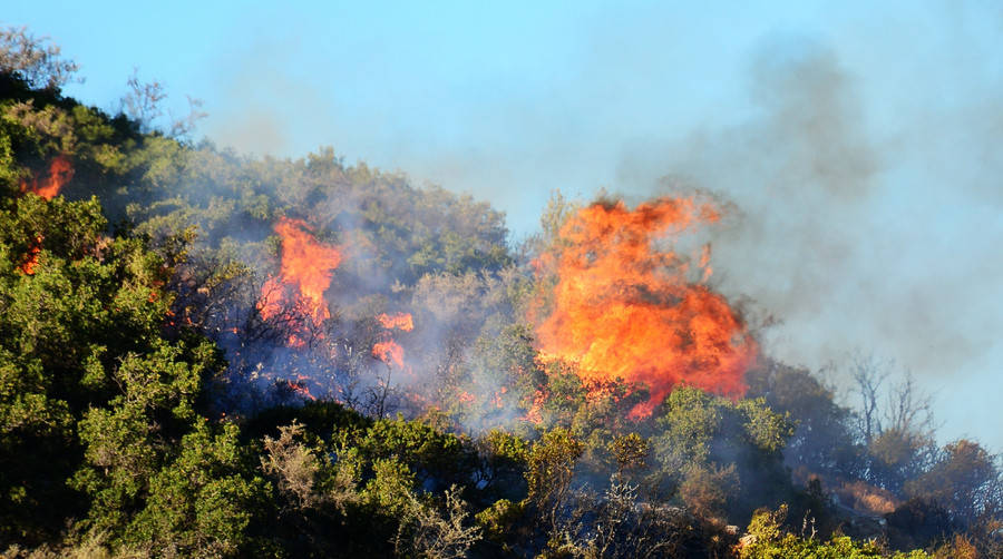 Μεγάλη πυρκαγιά στο Άλσος Βεΐκου
