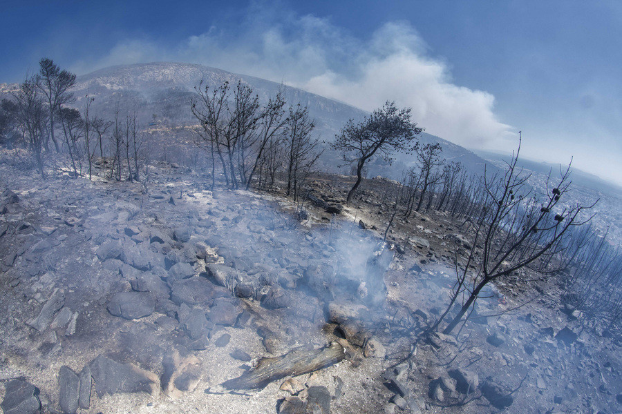 Πολύ υψηλός κίνδυνος πυρκαγιάς σε Αττική, Εύβοια, Αργολίδα, Κορινθία