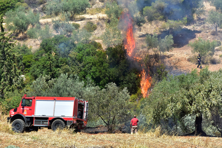 Πυρκαγιά σε δασική έκταση στην Μυτιλήνη