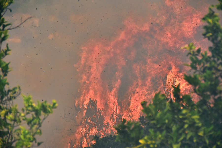 Μαίνεται η πυρκαγιά στη Φωκίδα – Σε ύφεση το μέτωπο στην Αχαΐα