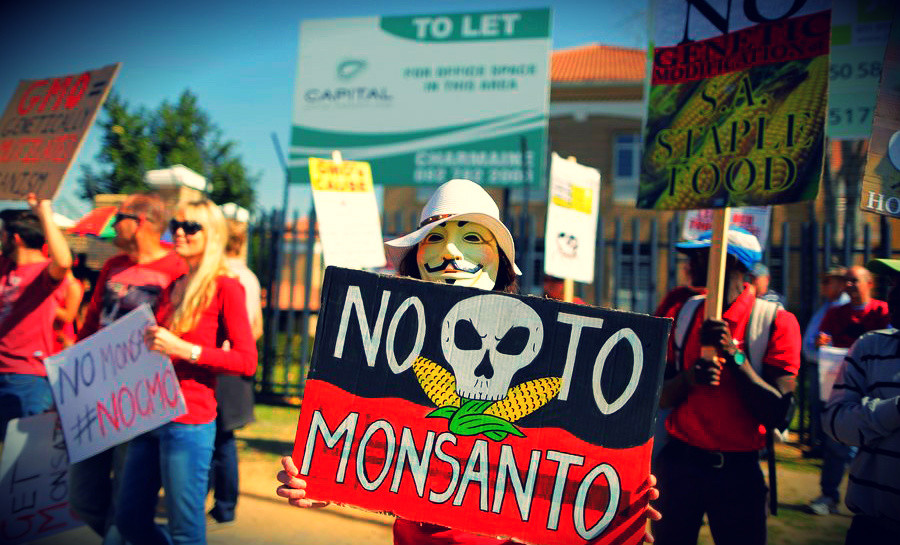 Εξαίρεση ζήτησε η Ελλάδα από τα μεταλλαγμένα της Monsanto