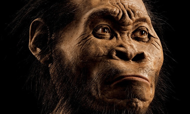 Homo Naledi: Ανακαλύφθηκε ο νέος συγγενής του ανθρώπου [ΒΙΝΤΕΟ+ΦΩΤΟ]