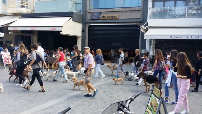 Μια… τετράποδη παρέλαση!