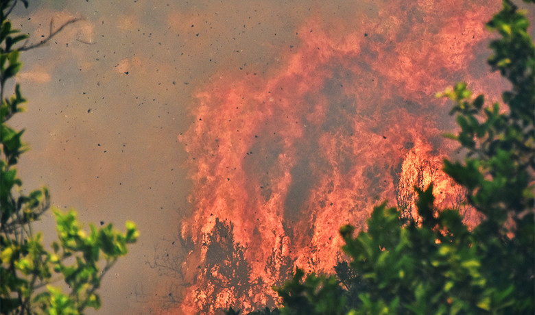 Πιο συχνές και έντονες πυρκαγιές λόγω κλιματικής αλλαγής