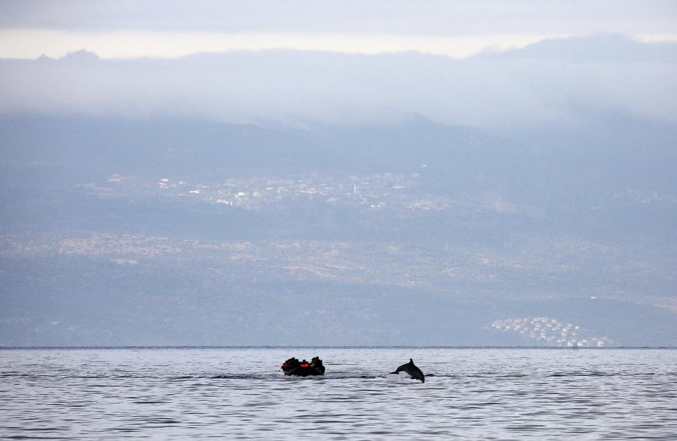 Ένα δελφίνι συνοδεύει πρόσφυγες στη Λέσβο – Εκπληκτική φωτογραφία του Γιάννη Μπεχράκη