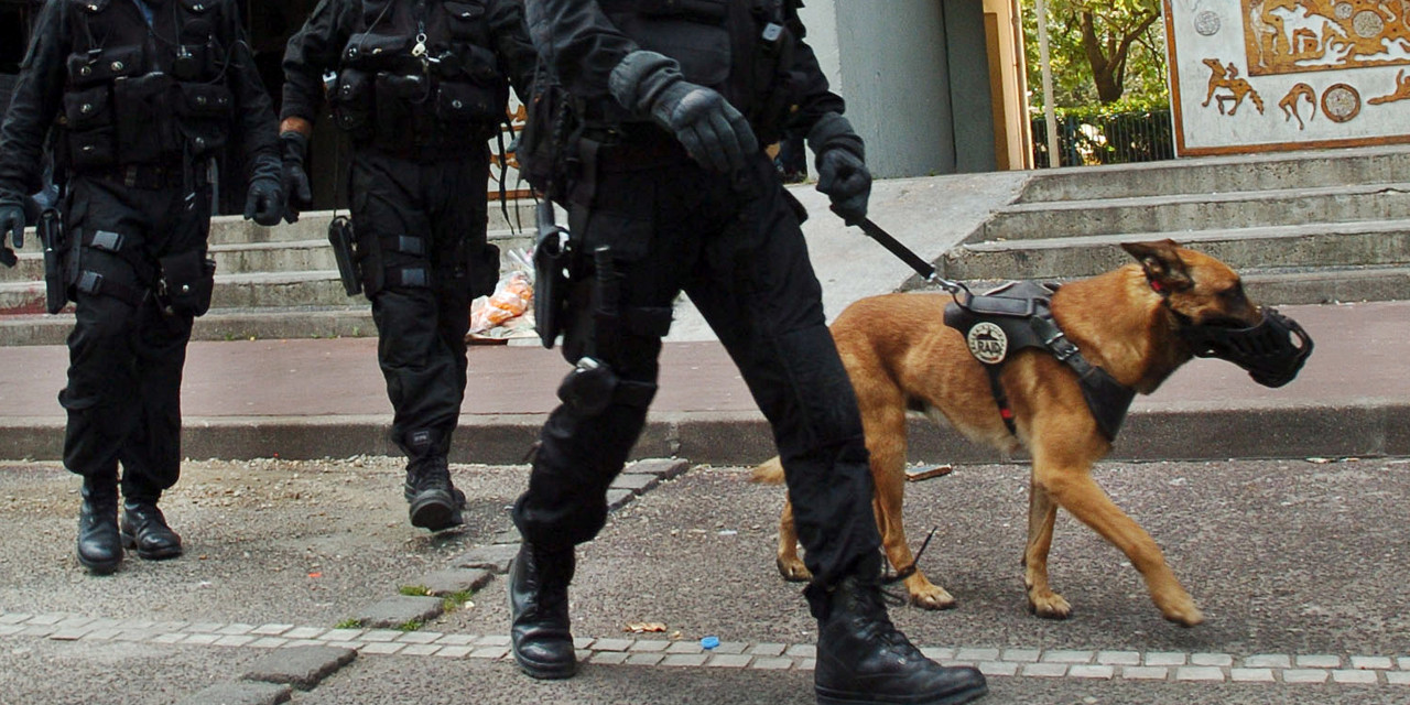 Diesel, το λυκόσκυλο της γαλλικής αστυνομίας που σκοτώθηκε στο Σεν Ντενί