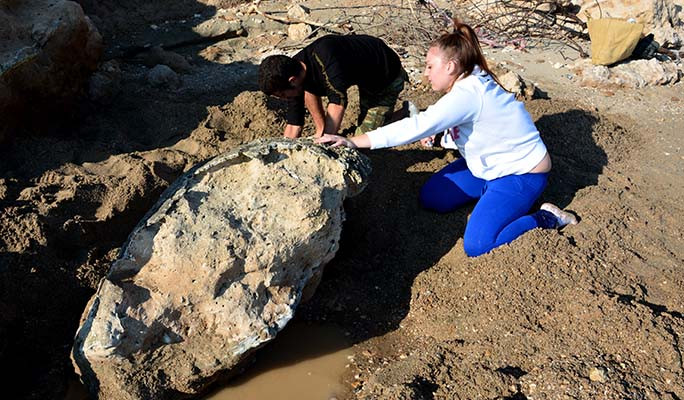 Απολιθωμένες γιγαντιαίες χελώνες 3 εκ. ετών ανακαλύφθηκαν στη Βόρεια Ελλάδα