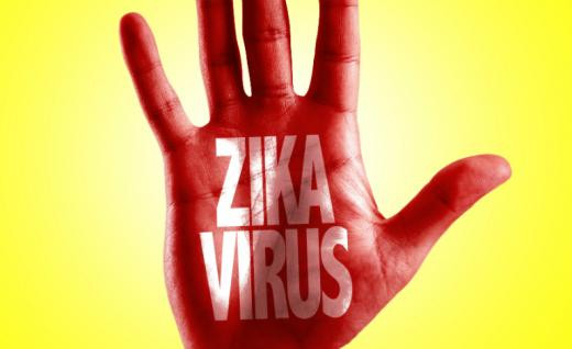 Βραζιλία: Η Ρουσέφ προειδοποιεί ότι «χάνεται η μάχη» με τον ιό Ζίκα