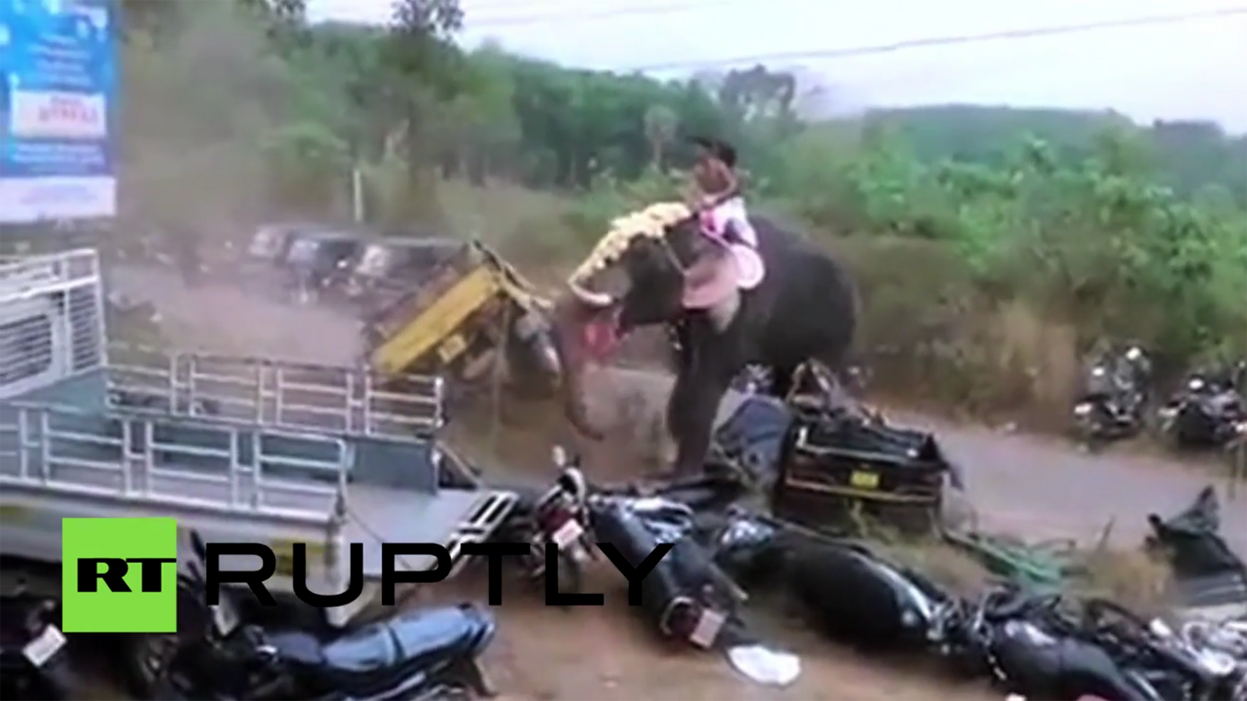 Ινδία: Ελέφαντας πετά στον αέρα αυτοκίνητα και τα καταστρέφει [ΒΙΝΤΕΟ]